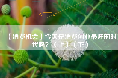 【消费机会】今天是消费创业最好的时代吗？（上）（下）