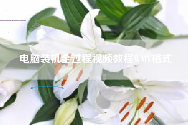 电脑装机全过程视频教程WMV格式