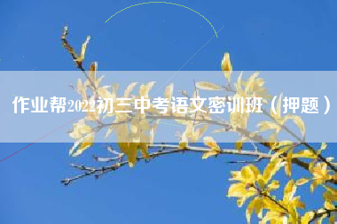 作业帮2022初三中考语文密训班（押题）