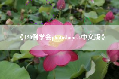 《120例学会photoshopcs4中文版》