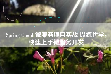 Spring Cloud 微服务项目实战 以练代学，快速上手微服务开发