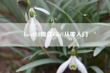 EasyPOI操作Excel从零入门