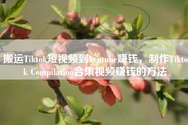 搬运Tiktok短视频到Youtube赚钱，制作Tiktok Compilation合集视频赚钱的方法