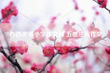 西西老师小学作文课 五感法写作文