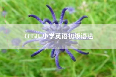 CCTalk 小学英语初级语法