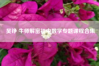 吴铮 牛师解密初中数学专题课程合集