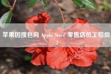 苹果因搜包向 Apple Store 零售店员工赔偿 2