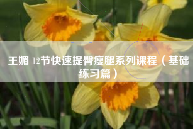 王媚 12节快速提臀瘦腿系列课程（基础练习篇）