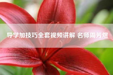 导学加技巧全套视频讲解 名师周芳煜