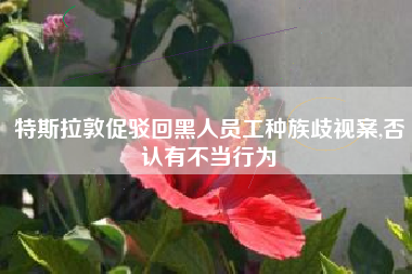 特斯拉敦促驳回黑人员工种族歧视案,否认有不当行为