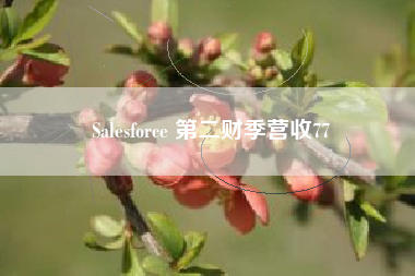 Salesforce 第二财季营收77