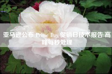 亚马逊公布 Prime Day 促销日技术报告:高峰每秒处理