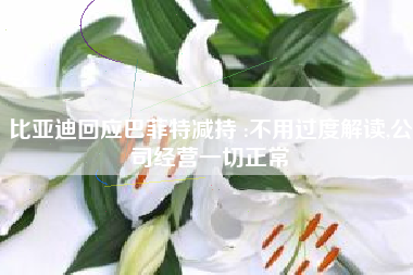 比亚迪回应巴菲特减持 :不用过度解读,公司经营一切正常