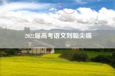 2022届高考语文刘聪尖端