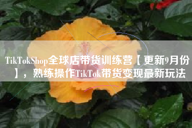 TikTokShop全球店带货训练营【更新9月份】，熟练操作TikTok带货变现最新玩法