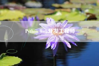 Python Web开发工程师