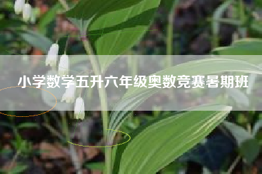 小学数学五升六年级奥数竞赛暑期班