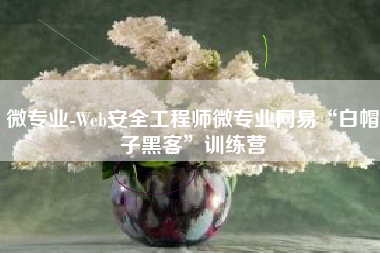 微专业-Web安全工程师微专业网易“白帽子黑客”训练营