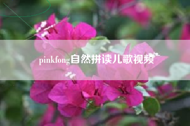 pinkfong自然拼读儿歌视频