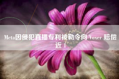 Meta因侵犯直播专利被勒令向 Voxer 赔偿近 1