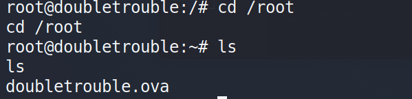 vulnhub靶场之DOUBLETROUBLE: 1