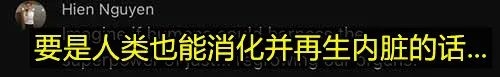 世界上飞最远的鸟:11天狂奔1万公里不带停 饿了吃自己内脏