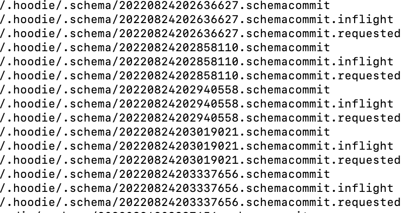 Hudi Schema演变深度分析与应用