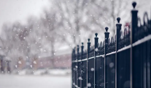 12月份去东北能看见雪吗 几月份适合来东北看雪