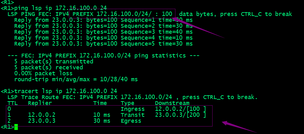 HCIE Routing&Switching之MPLS静态LSP配置