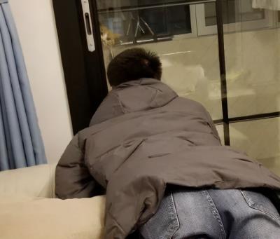 养猫的男生都是渣男,养猫的男生