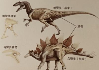 鳄鱼每次称霸都被地球破坏,每次在马上称霸时被地球针对