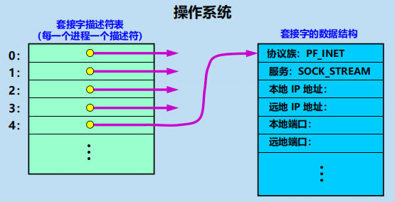 漫谈计算机网络：应用层 ----- 从DNS域名解析到WWW万维网再到P2P应用