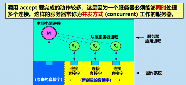 漫谈计算机网络：应用层 ----- 从DNS域名解析到WWW万维网再到P2P应用