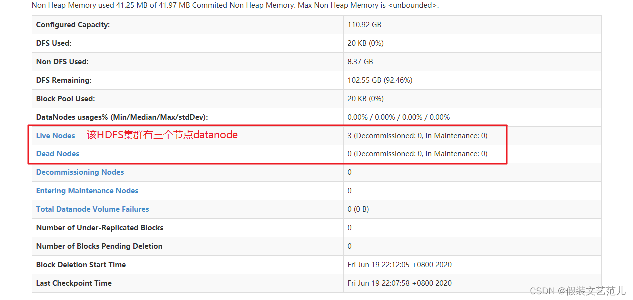 1.4 Apache Hadoop完全分布式集群搭建-hadoop-最全最完整的保姆级的java大数据学习资料