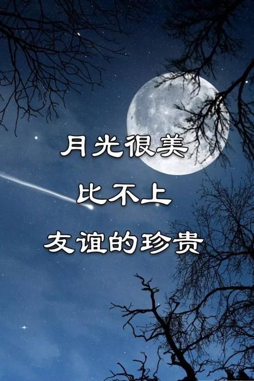 诤友是什么意思(良师诤友是什么意思)