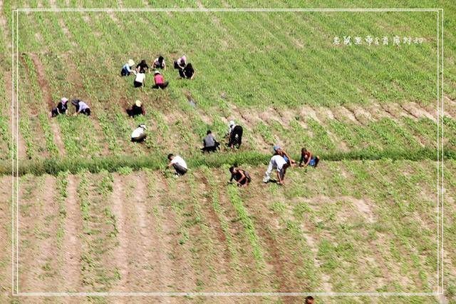 farmer什么意思(policeman什么意思)