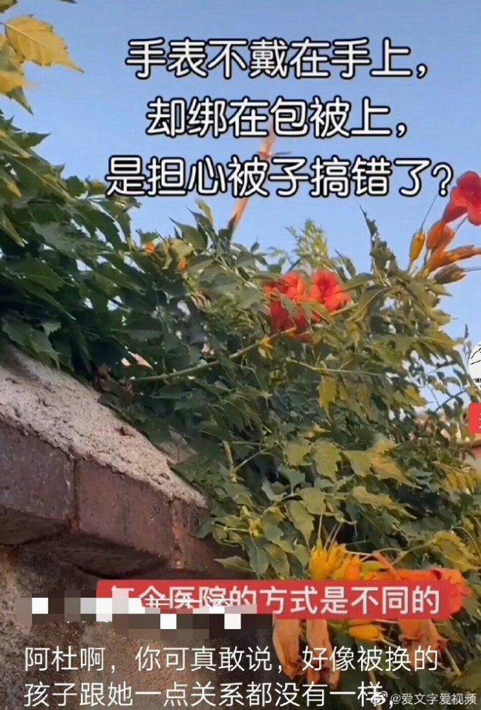 四面楚歌是什么意思(四面楚歌是什么意思解释)