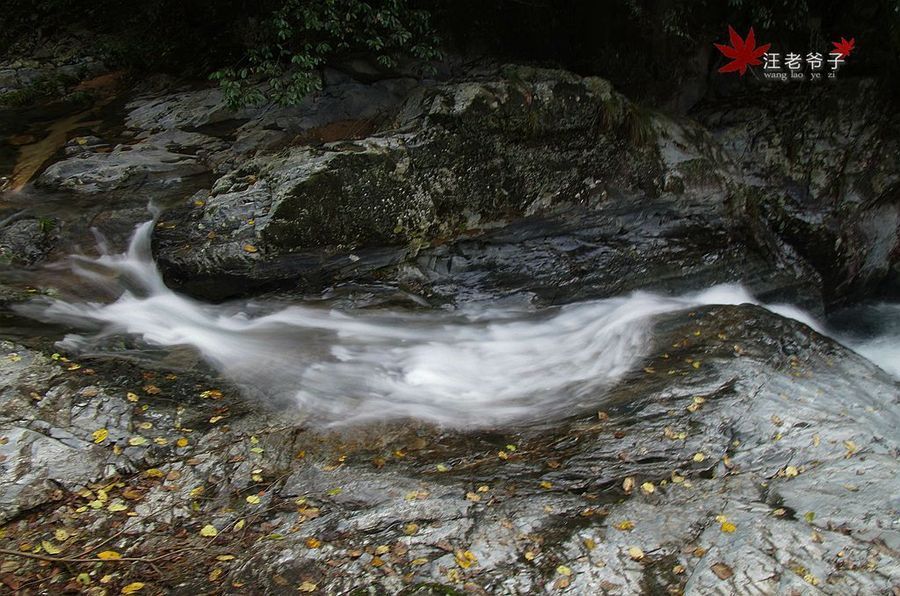 潺潺什么意思(流水潺潺什么意思)