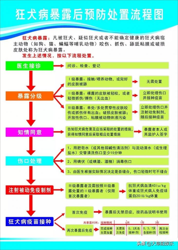 在哪里可以打狂犬疫苗(武汉在哪里可以打狂犬疫苗)