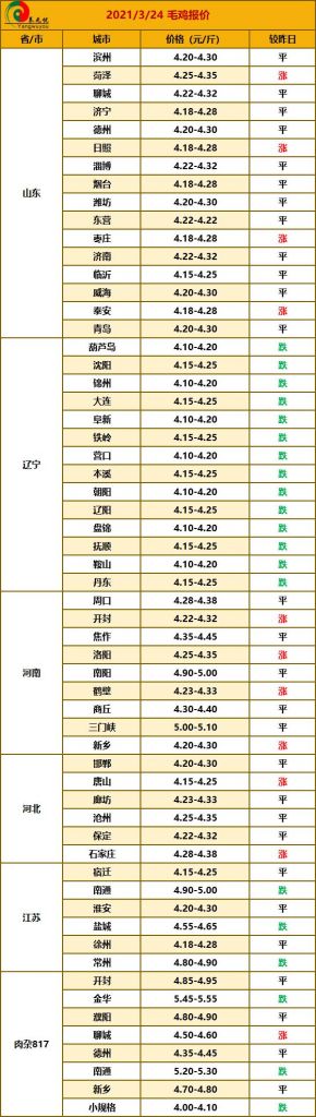 今日鸡蛋价格表新闻(今天鸡蛋价格行情最新)