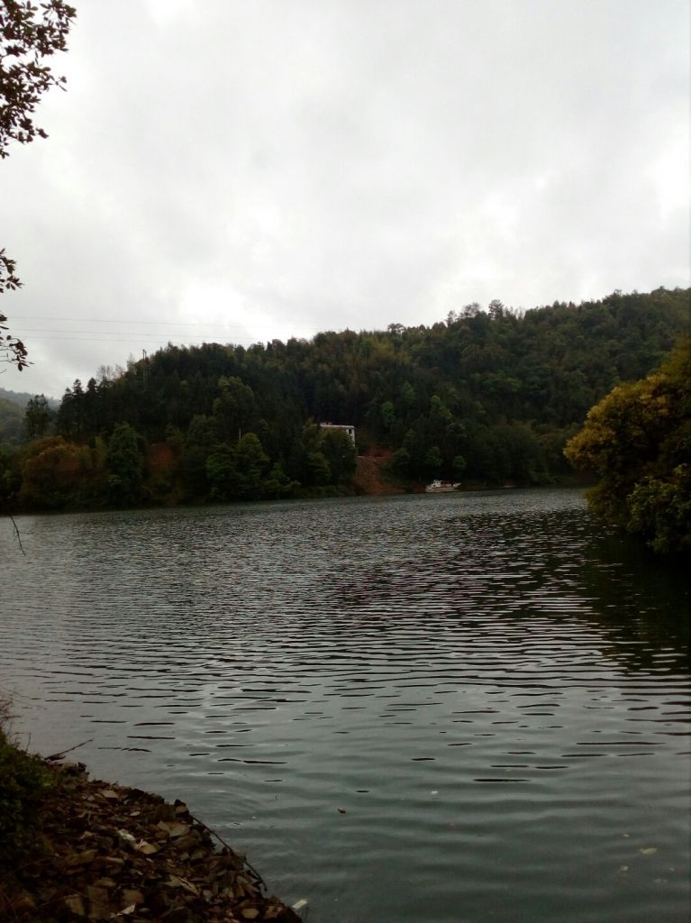 湾塘在哪里(白塘湾在哪里)