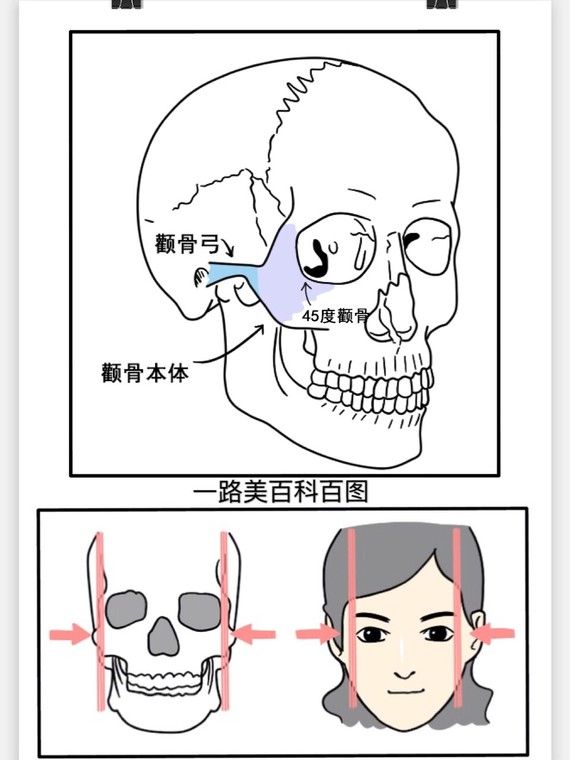 弓黑线在哪里(鲫鱼的黑线在哪里)