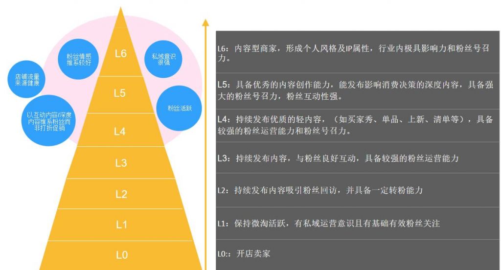 正宗战略运营(运营战略包括哪些内容)