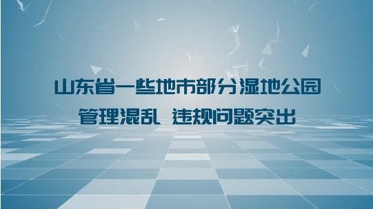 生态建设情况问题(推进政治生态建设情况)