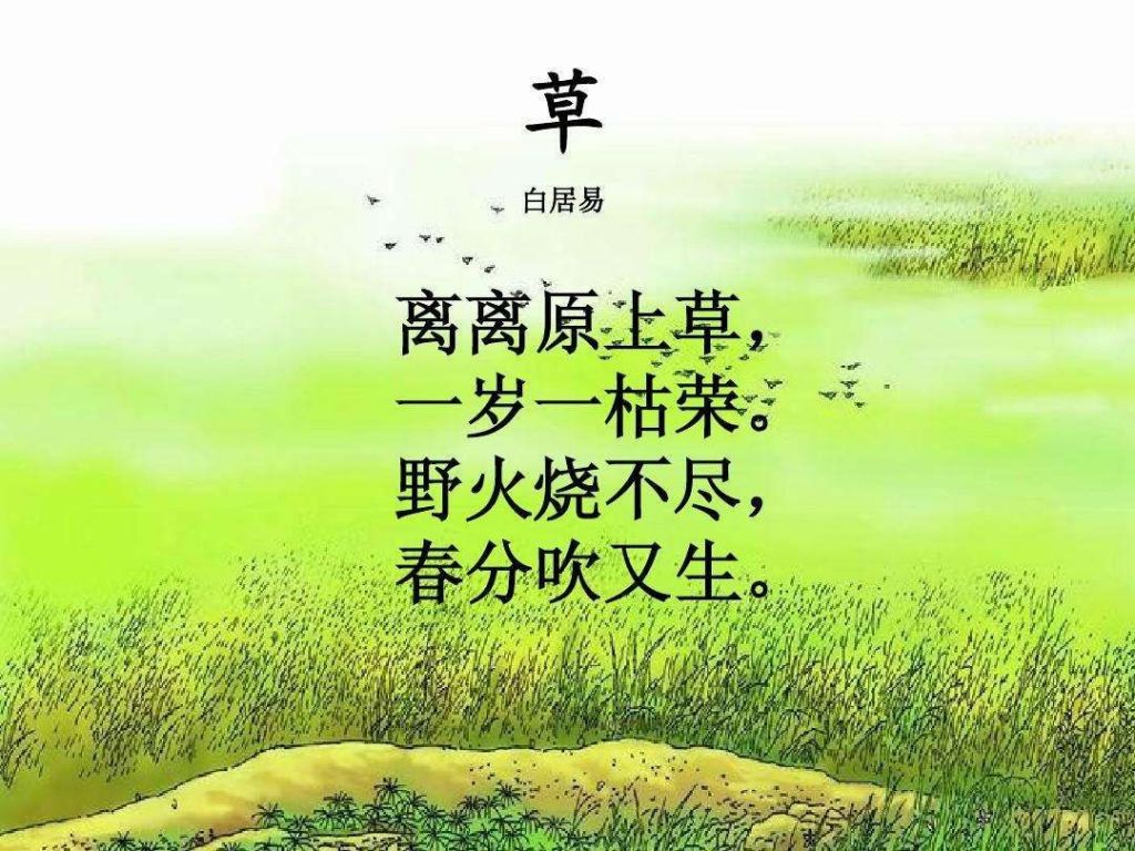 在哪首诗(七字八句古诗大全)