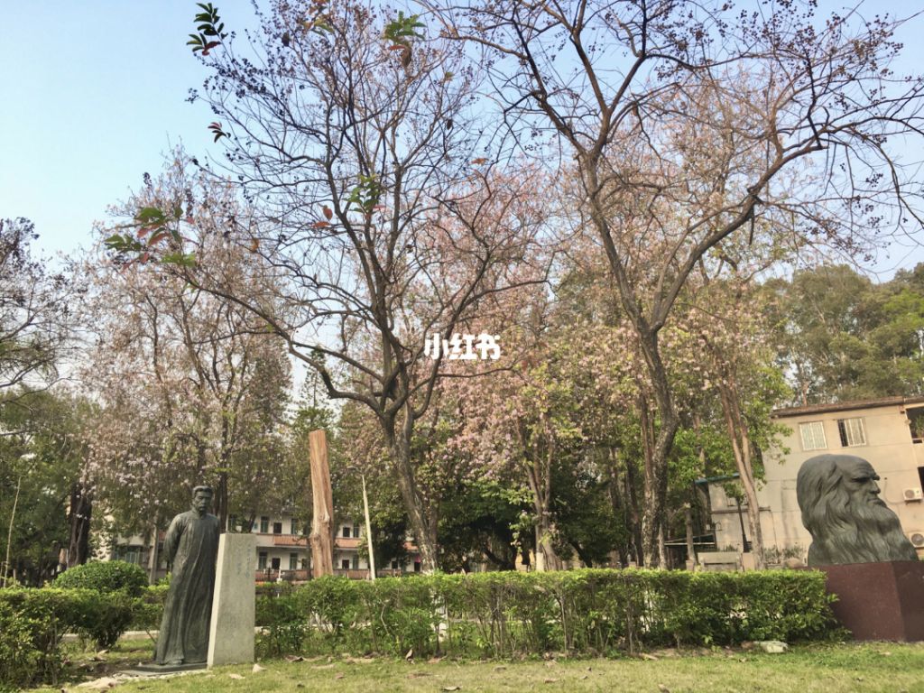 广外差在哪(广外北校区在哪)