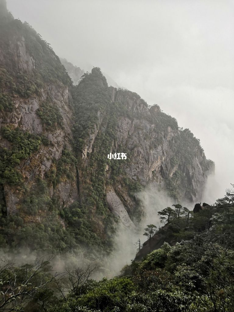 三凊山在哪(三青山在哪里)