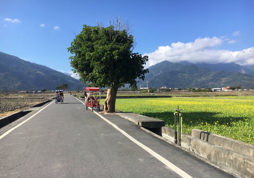 伯朗大道在哪里(台湾伯朗大道图片)