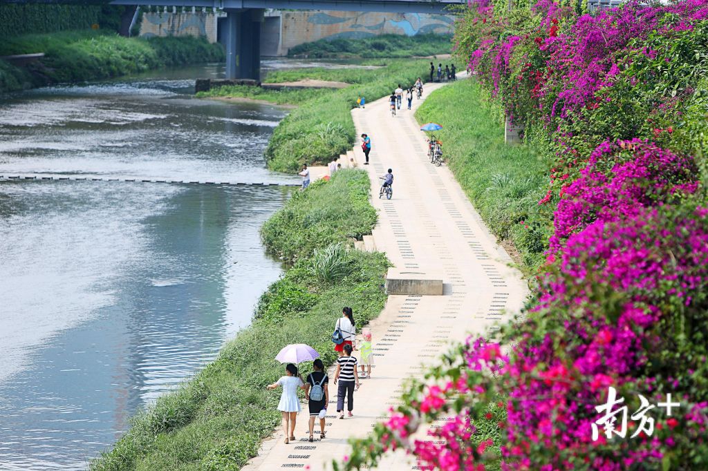 双龙岗在哪(双龙港经济开发区)