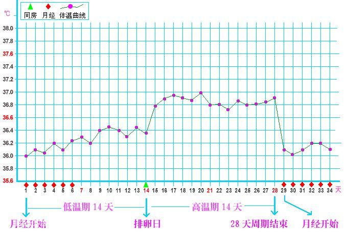 几号来例假是排卵期(4号来的事几号是排卵期)